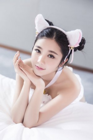 执法者们 电视剧